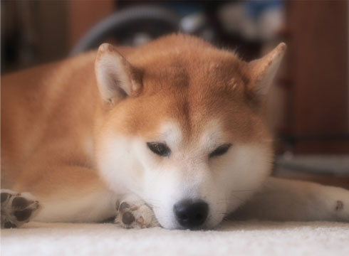28日ブログ7.jpg