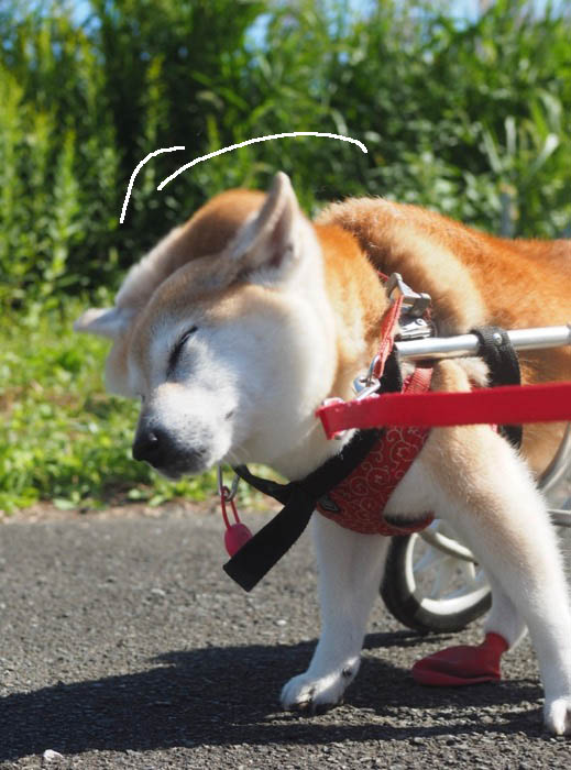 8日夕ブログ１０