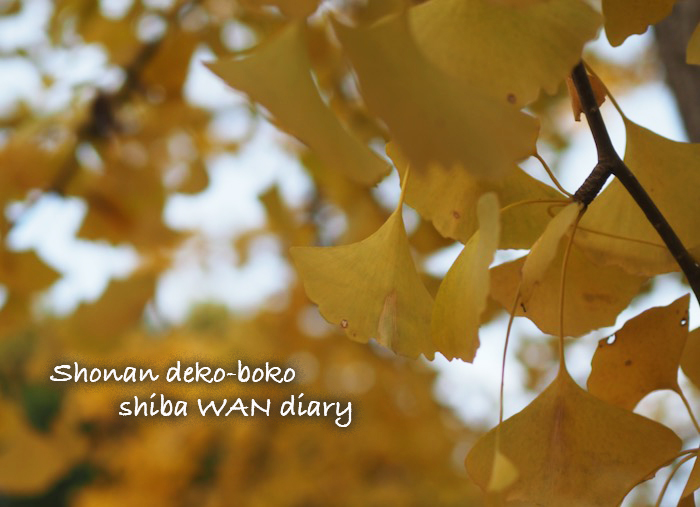 12日夕ブログ１