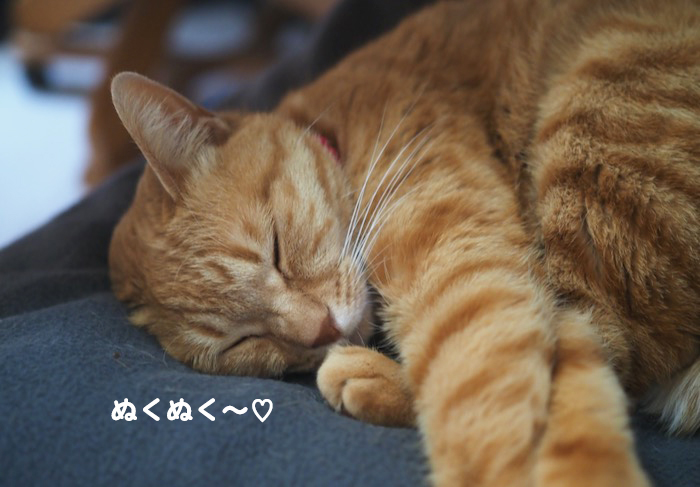 15日夕ブログ５