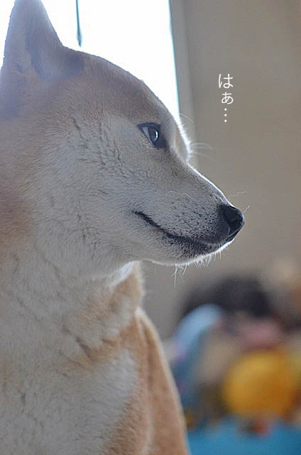 25日ブログ10