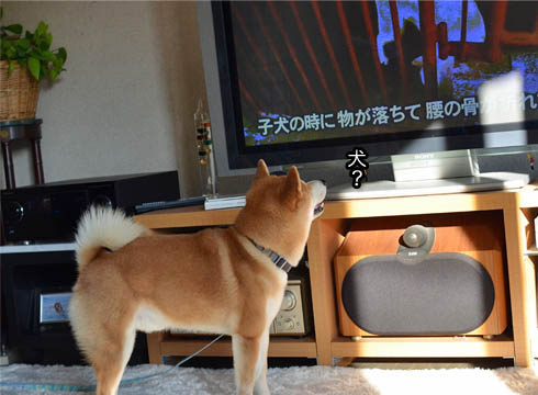 4日ブログ6.jpg