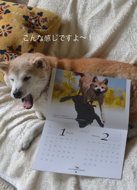 16日ブログ3