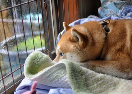 31日ブログ2.jpg