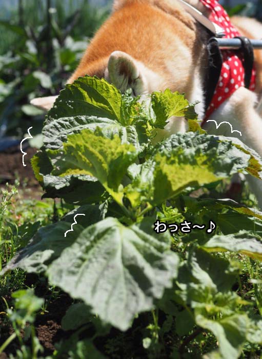 25日夜ブログ2