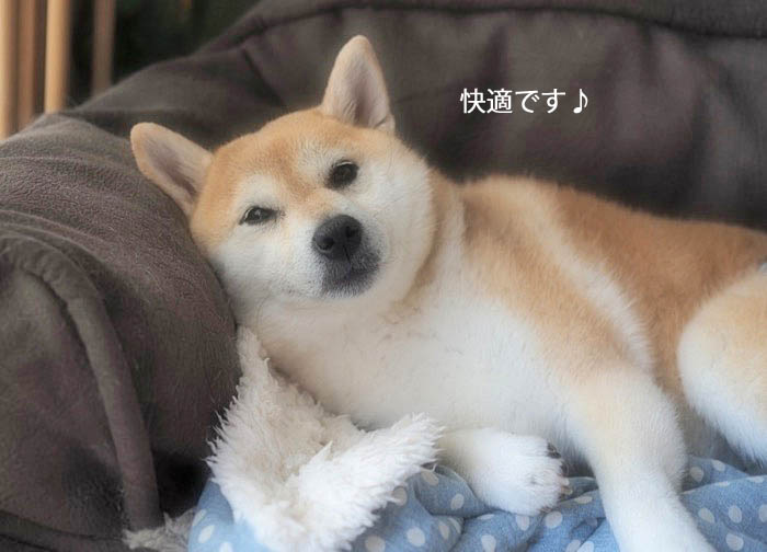 21日ブログ７