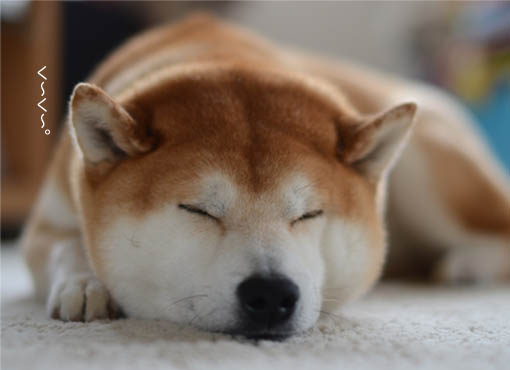 28日ブログ4.jpg