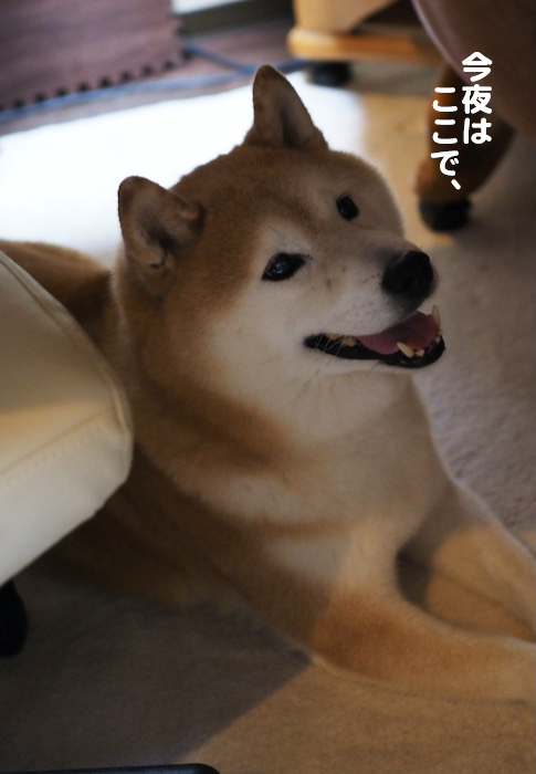 4日夜ブロ２