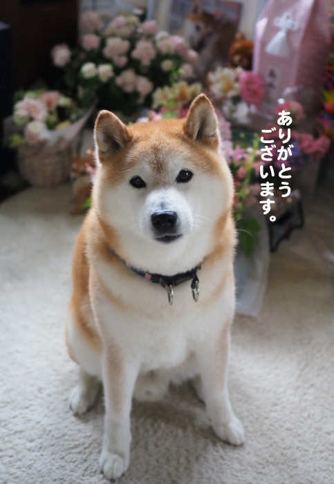 17日夕ブログ５