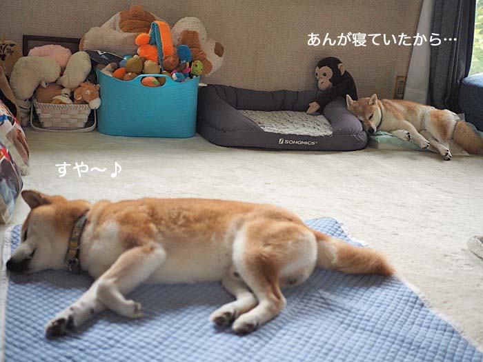 15日ブログ４