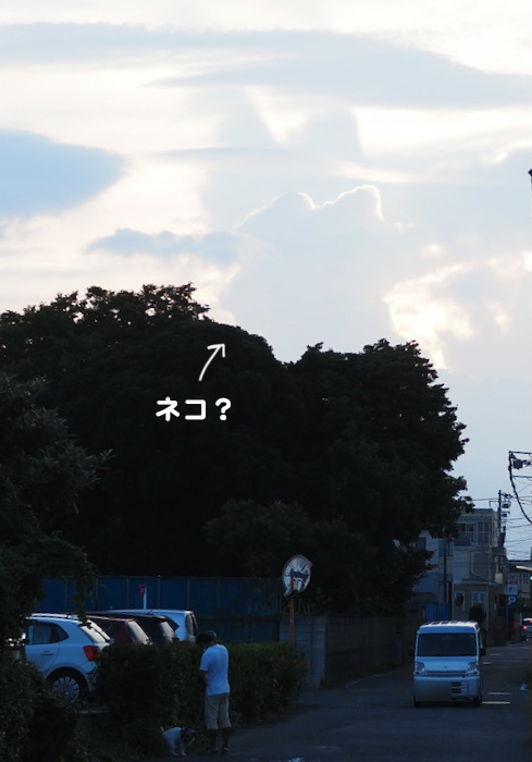 28日夕ブログ１
