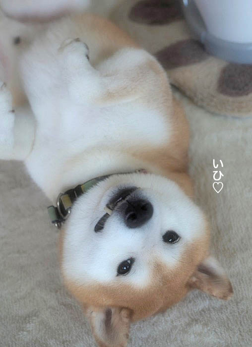 7日夜ブログ３