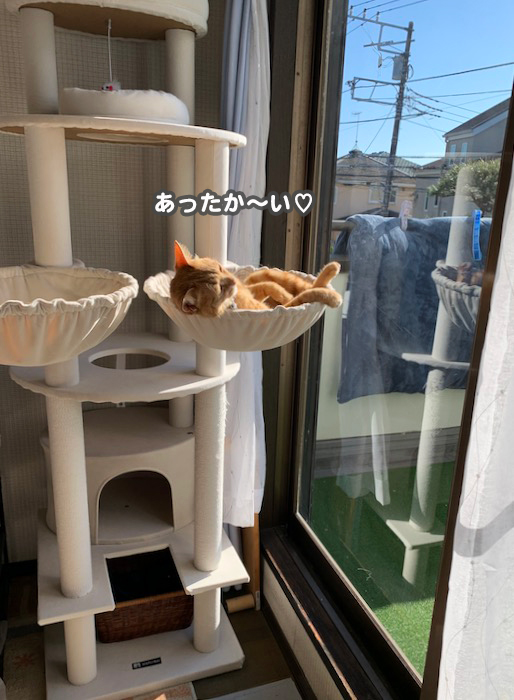 30日ブログ２
