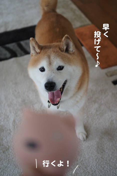 16日夕ブログ３