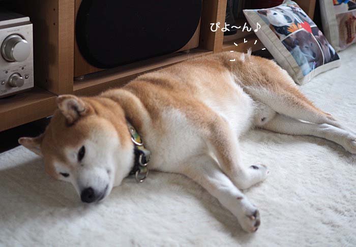 30日ブログ３