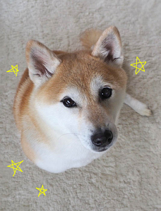 13日午後ブログ１４
