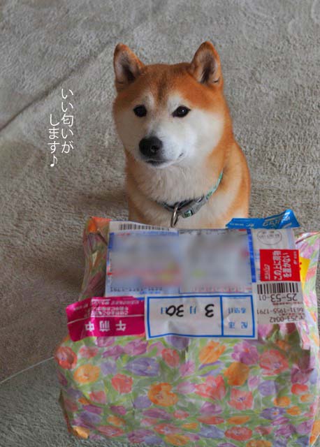 31日午後ブログ2