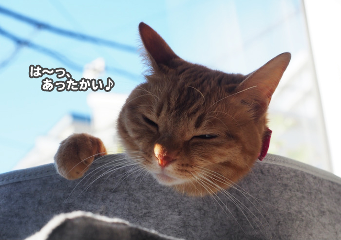 19日夕ブログ３