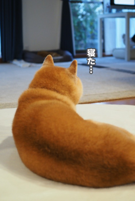 12日夕ブログ１３