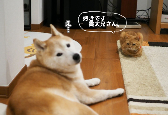 4日夕ブログ２