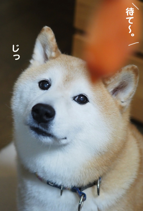 30日夜ブログ5