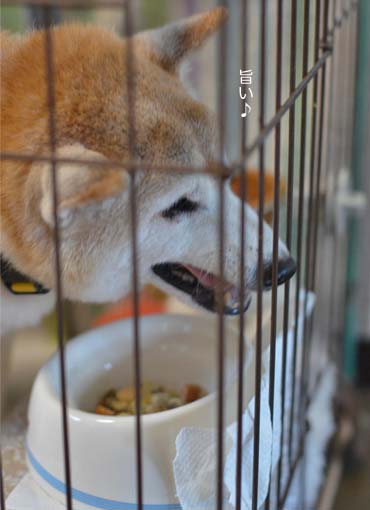31日ブログ11.jpg