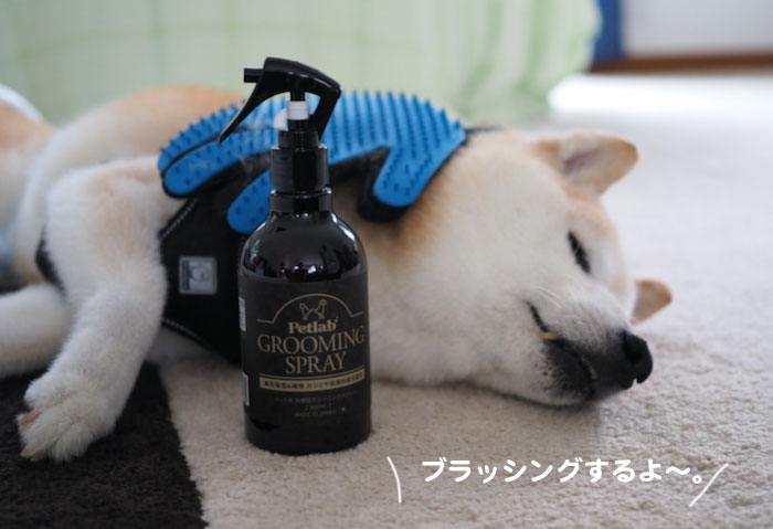 2日夕ブログ９