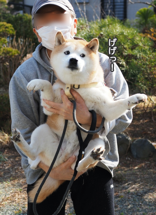 9日夕ブログ７