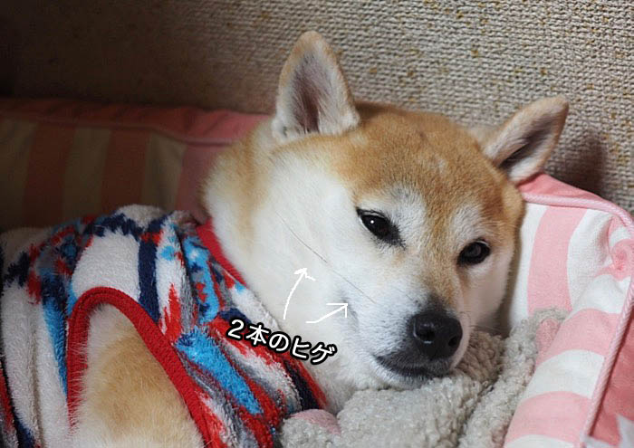 17日夜ブログ１