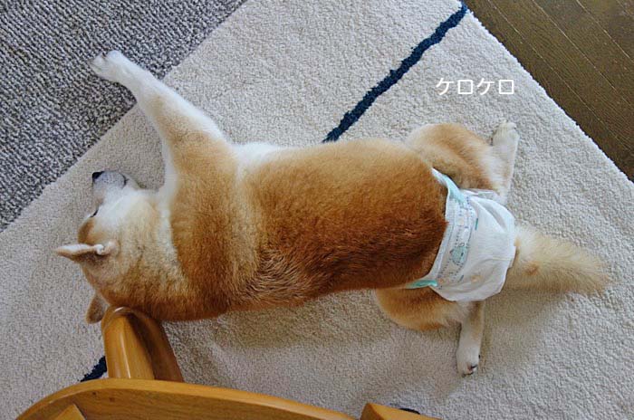 29日夜ブログ２