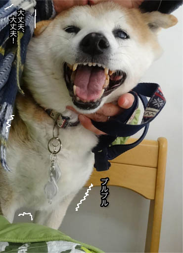 10日ブログ4.jpg