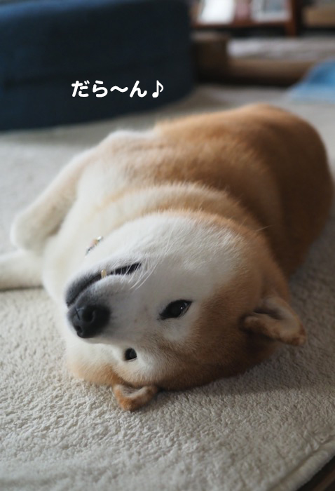 5日ブログ４