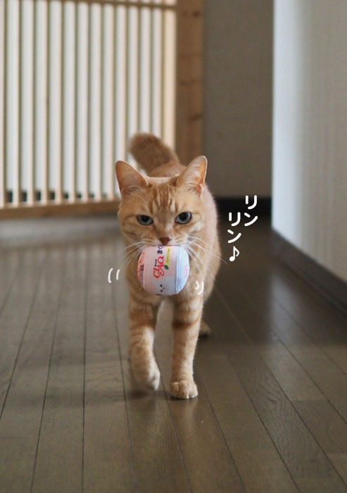 30日夕ブログ３