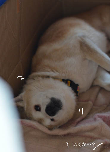 27日ブログ6.jpg