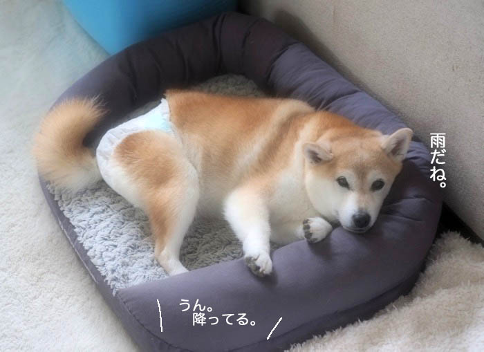 4日ブログ２