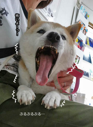 29日ブログ2.jpg