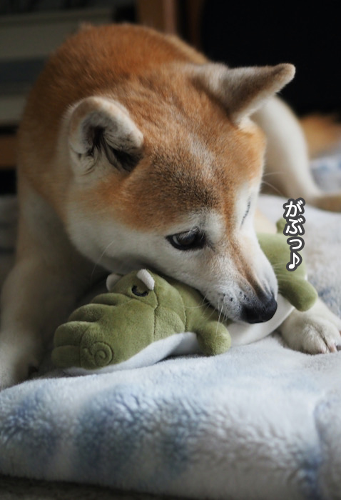22日夜ブログ２