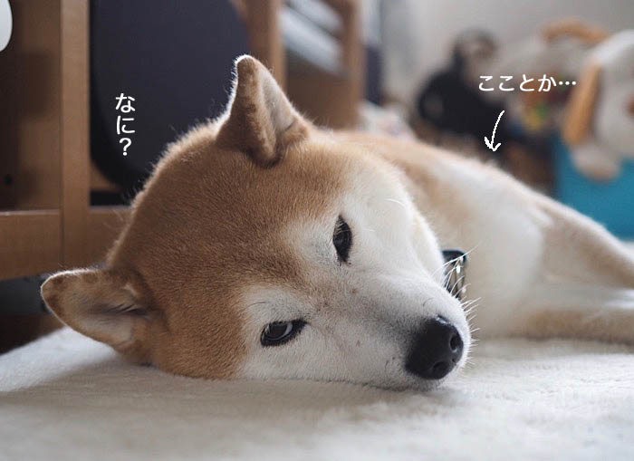 30日ブログ２