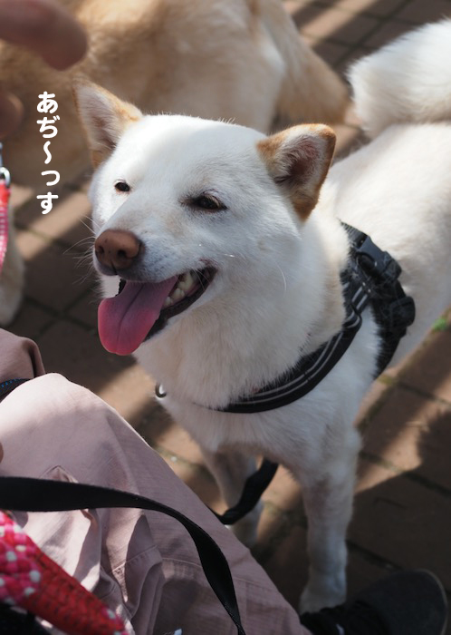 27日夕ブログ9