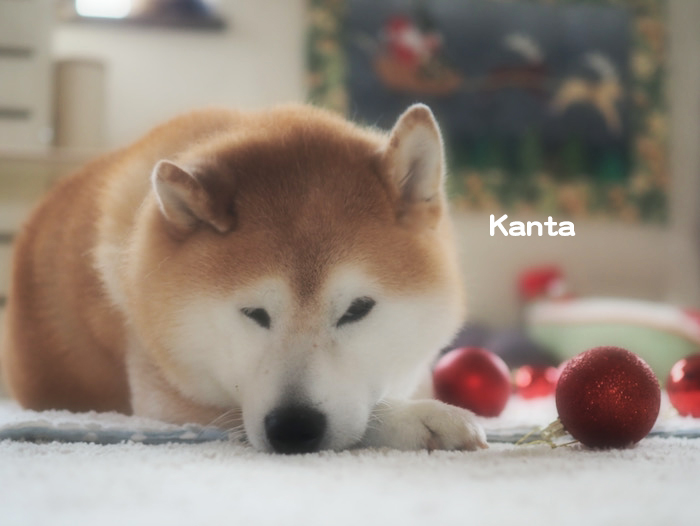 18日ブログ１