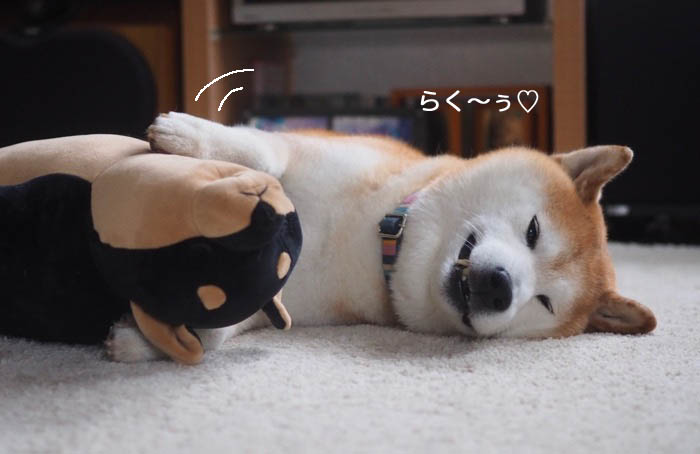 21日ブログ７