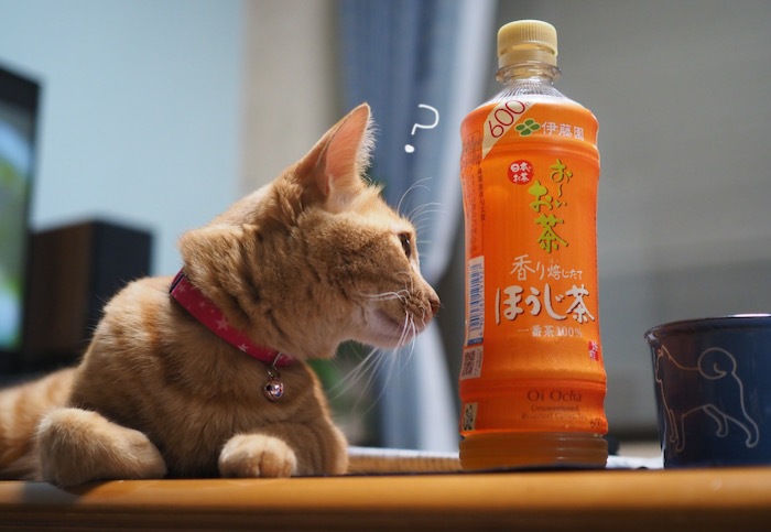 26日ブログ３