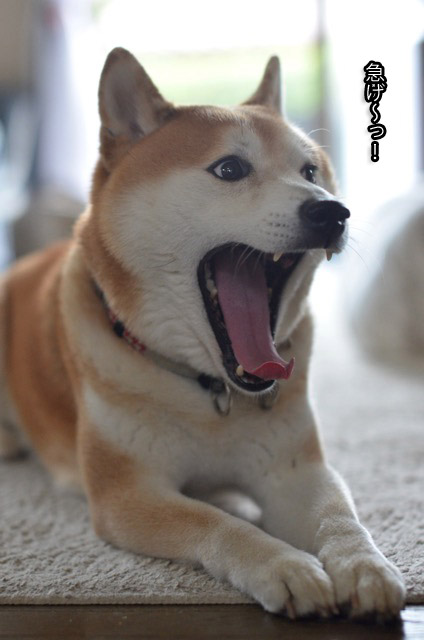 23日コンテスト4