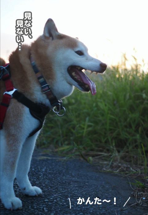 20日ブログ２
