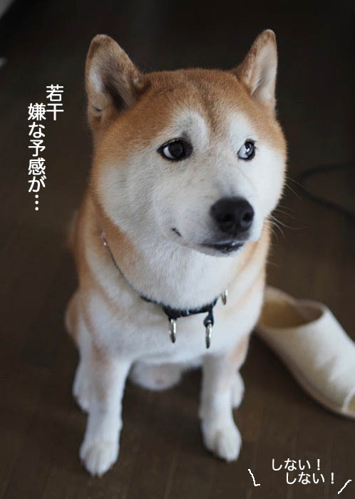 2日ブログ８