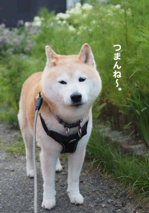 13日午前ブログ３