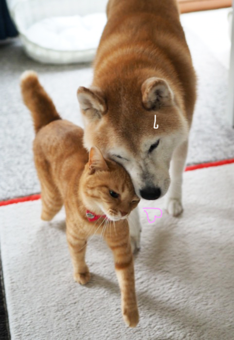 15日夕ブログ７