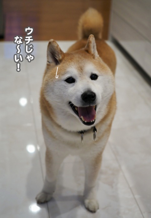 31日夕ブログ４