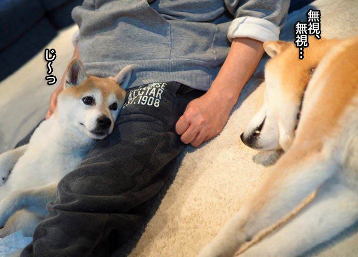 31日夜ブログ１０