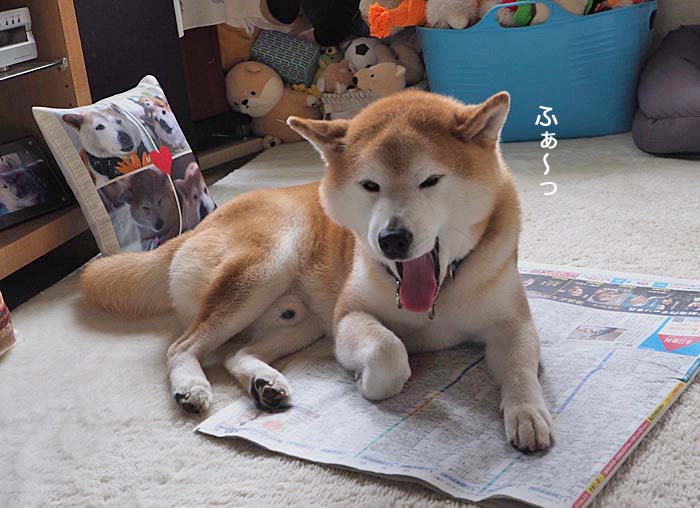 19日夜ブログ４